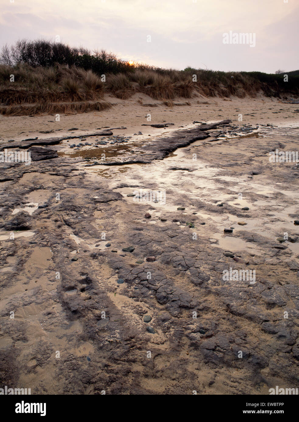 Enterré land surface découverte à marée basse, Lligwy Beach, Llangefni, Anglesey, au nord du Pays de Galles, Royaume-Uni Banque D'Images