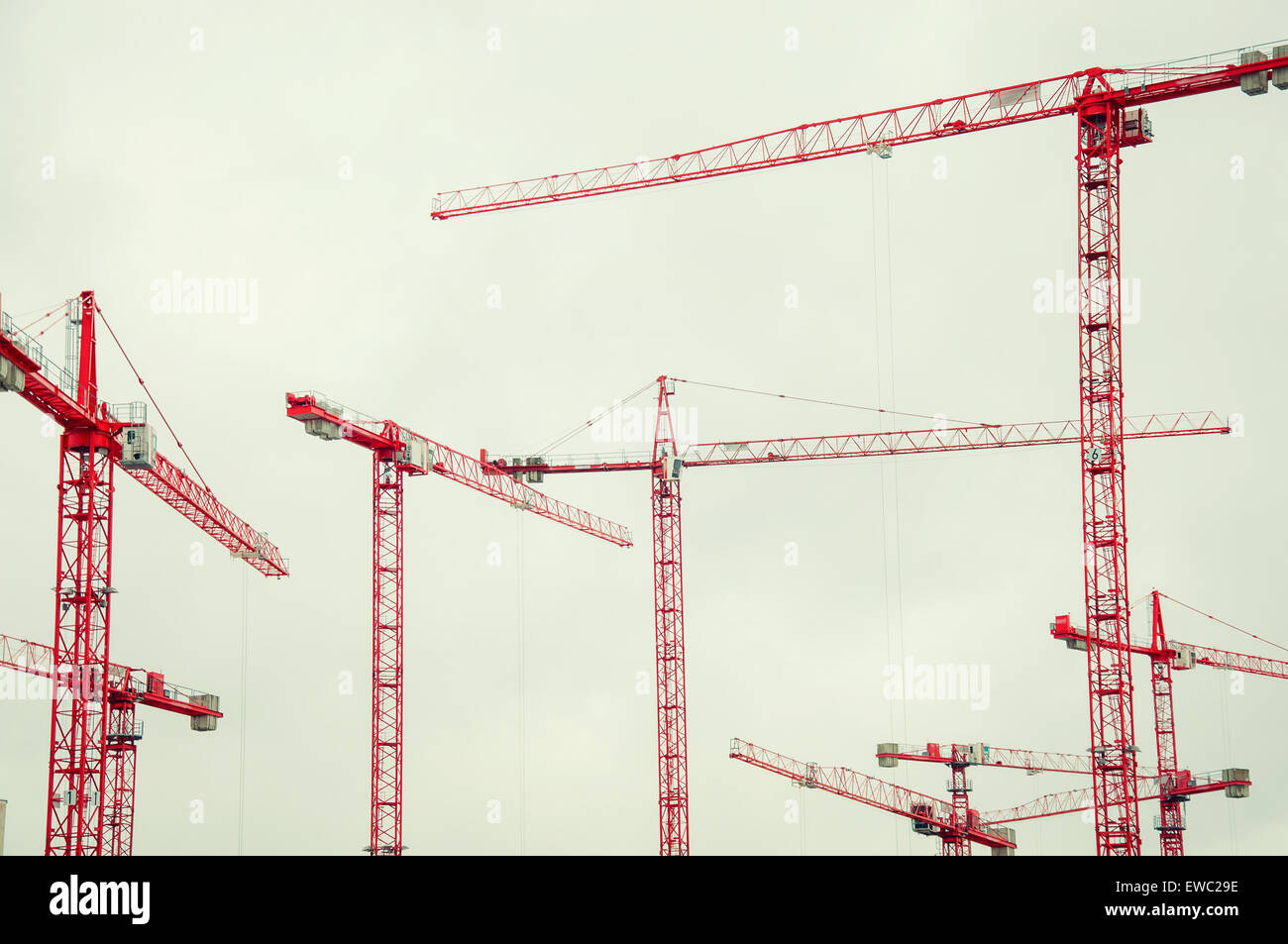 grues rouges Banque D'Images