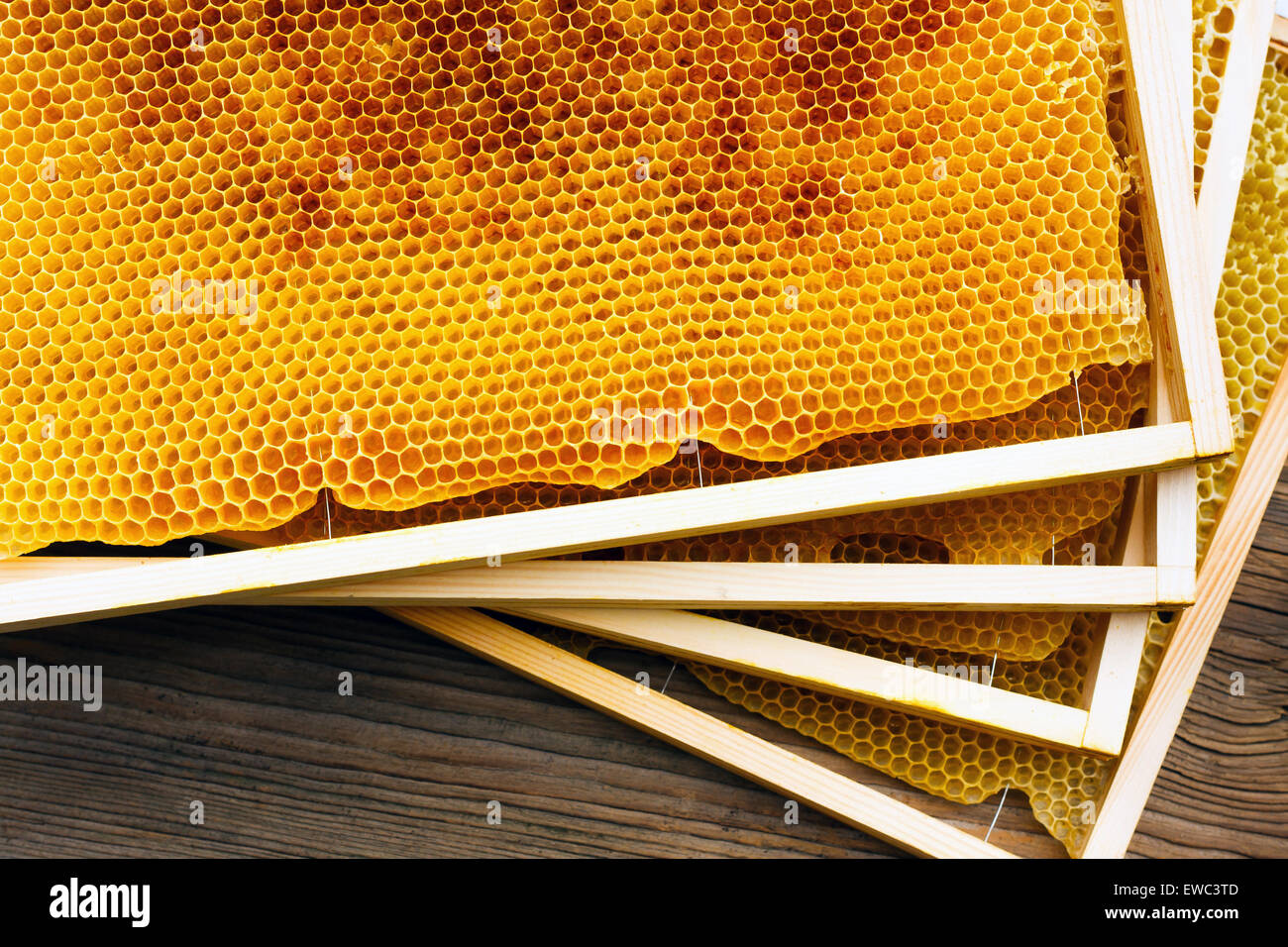 En nid d'abeille, gros plan Banque D'Images