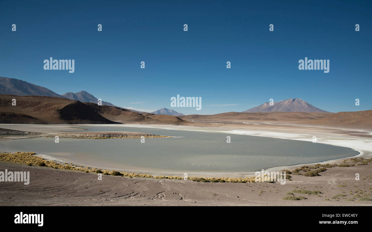 Eduardo Avaroa Réserve nationale de faune andine. Les volcans et les lacs de soufre en Bolivie. Banque D'Images