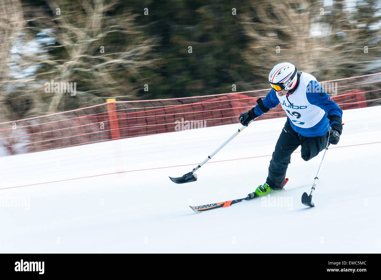 Une mobilité qui utilise l'équipement de ski spécialement adaptées, course en descente. Banque D'Images