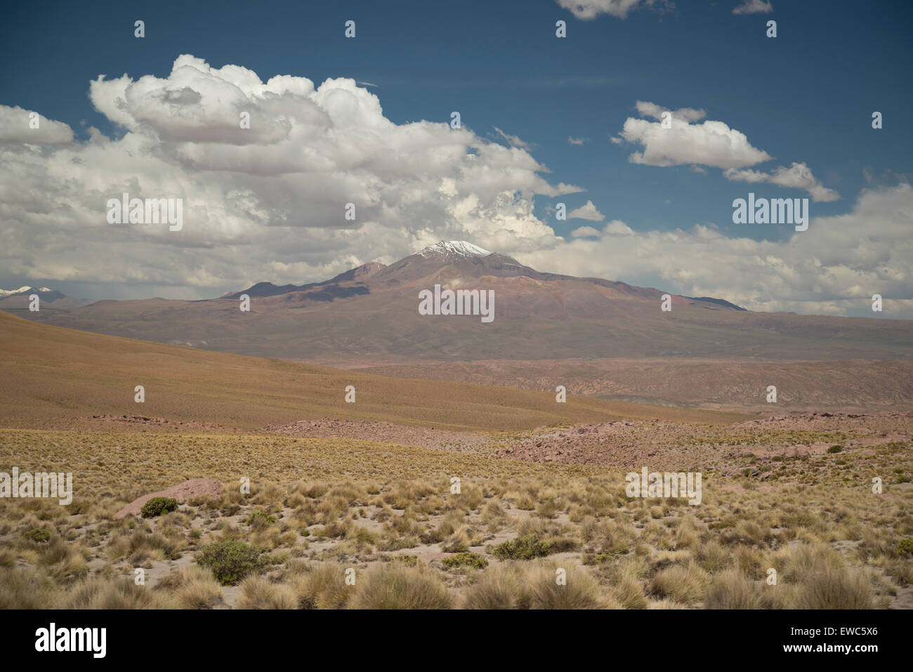 Eduardo Avaroa Réserve nationale de faune andine. Les volcans et les lacs de soufre en Bolivie. Banque D'Images