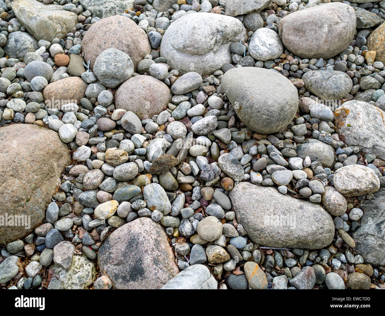 Les rochers et les cailloux sur le sol Banque D'Images