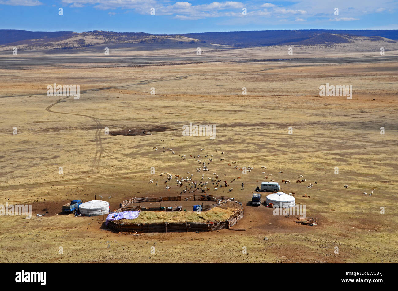 Camp de ger dans la campagne mongole Banque D'Images