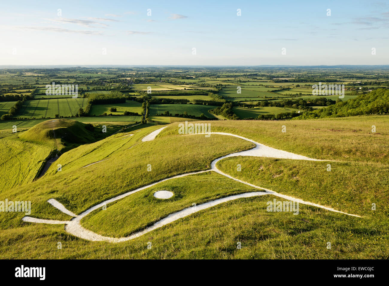 Uffington White Horse, Oxfordshire, England, UK. Un animal préhistorique hill figure écumé sur le flanc d'une colline. Banque D'Images