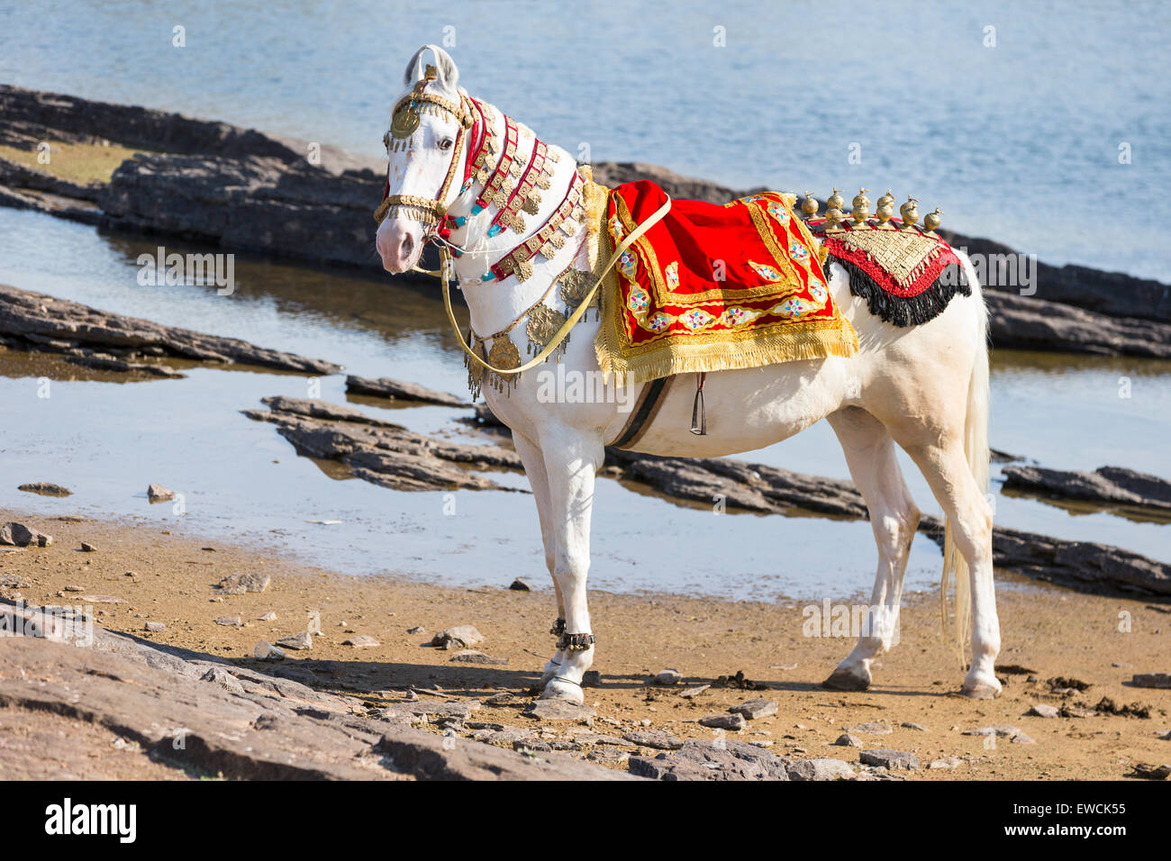 La Danse du Cheval Marwari Hermes Cashmere - It's All Goode