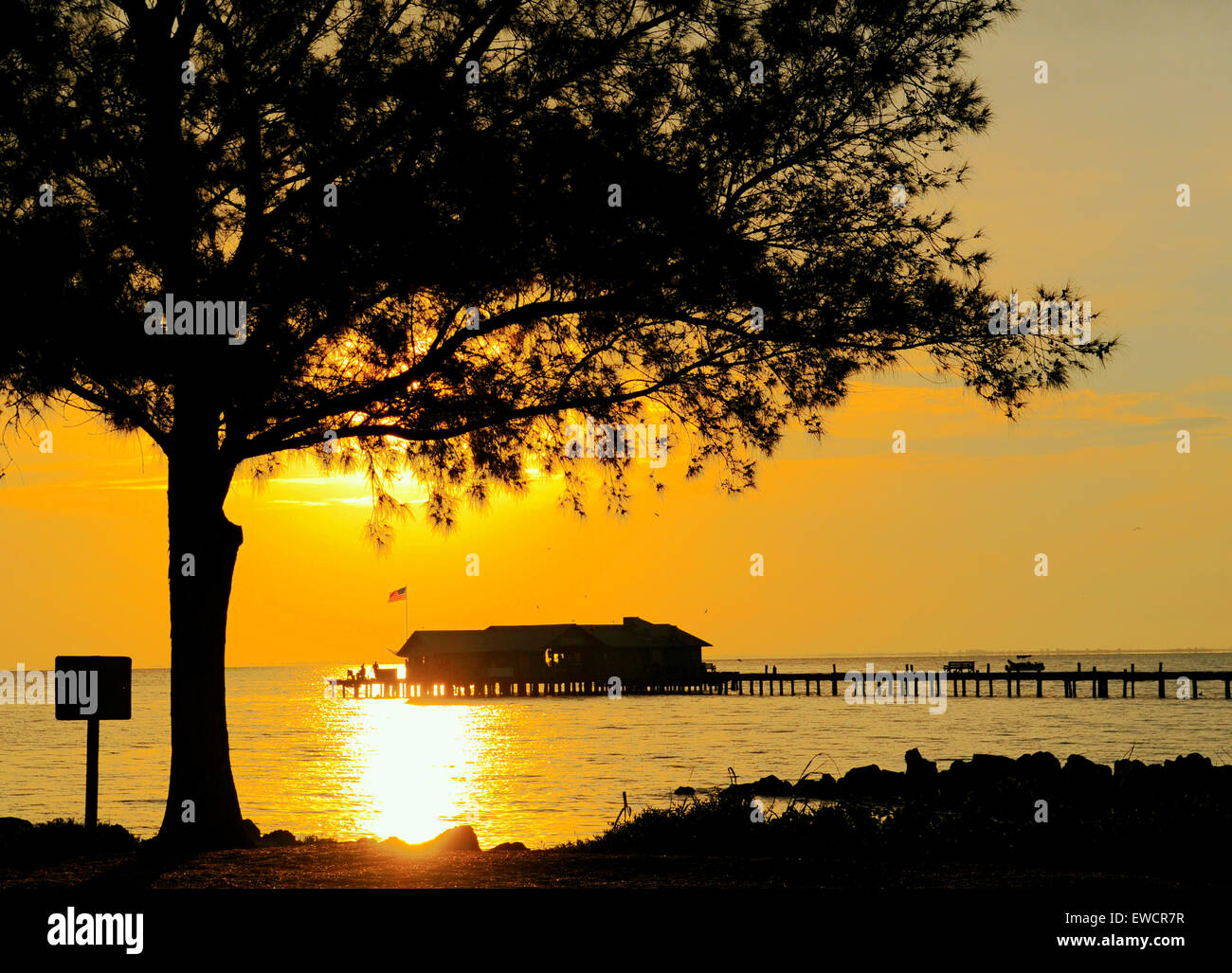 Anna Maria Island, Floride, États-Unis. 23 juin 2015. Une autre journée au paradis commence à City Pier. Un début de calme après les tempêtes d'hier Banque D'Images