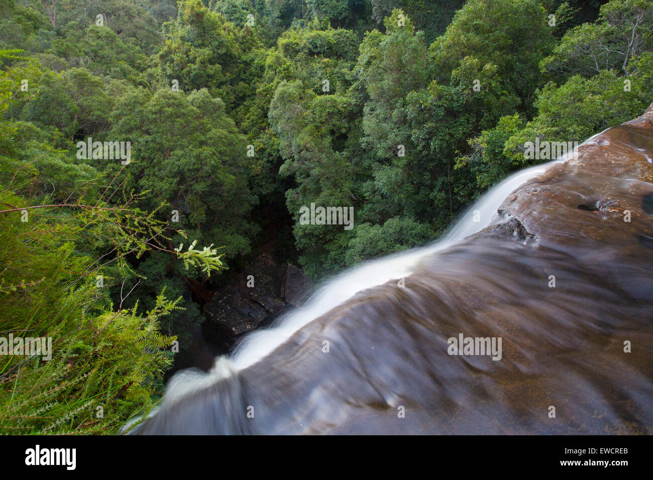 Donnant sur la forêt environnante et cascade inférieure au niveau national tombe dans le Royal National Park, NSW, Australie Banque D'Images