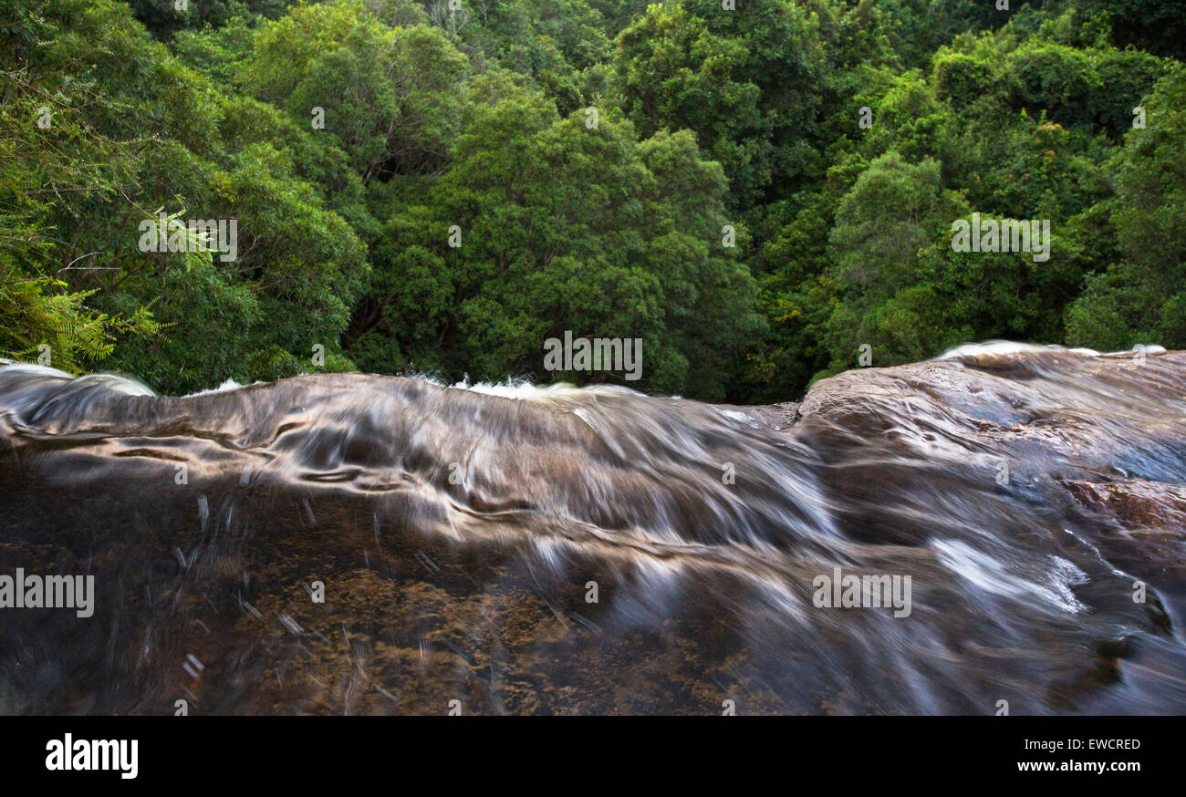Donnant sur la forêt environnante et cascade inférieure au niveau national tombe dans le Royal National Park, NSW, Australie Banque D'Images