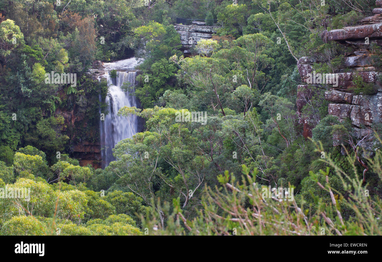 Avis de Kelly's Falls et la brousse environnante, près de Helensburgh, NSW, Australie Banque D'Images