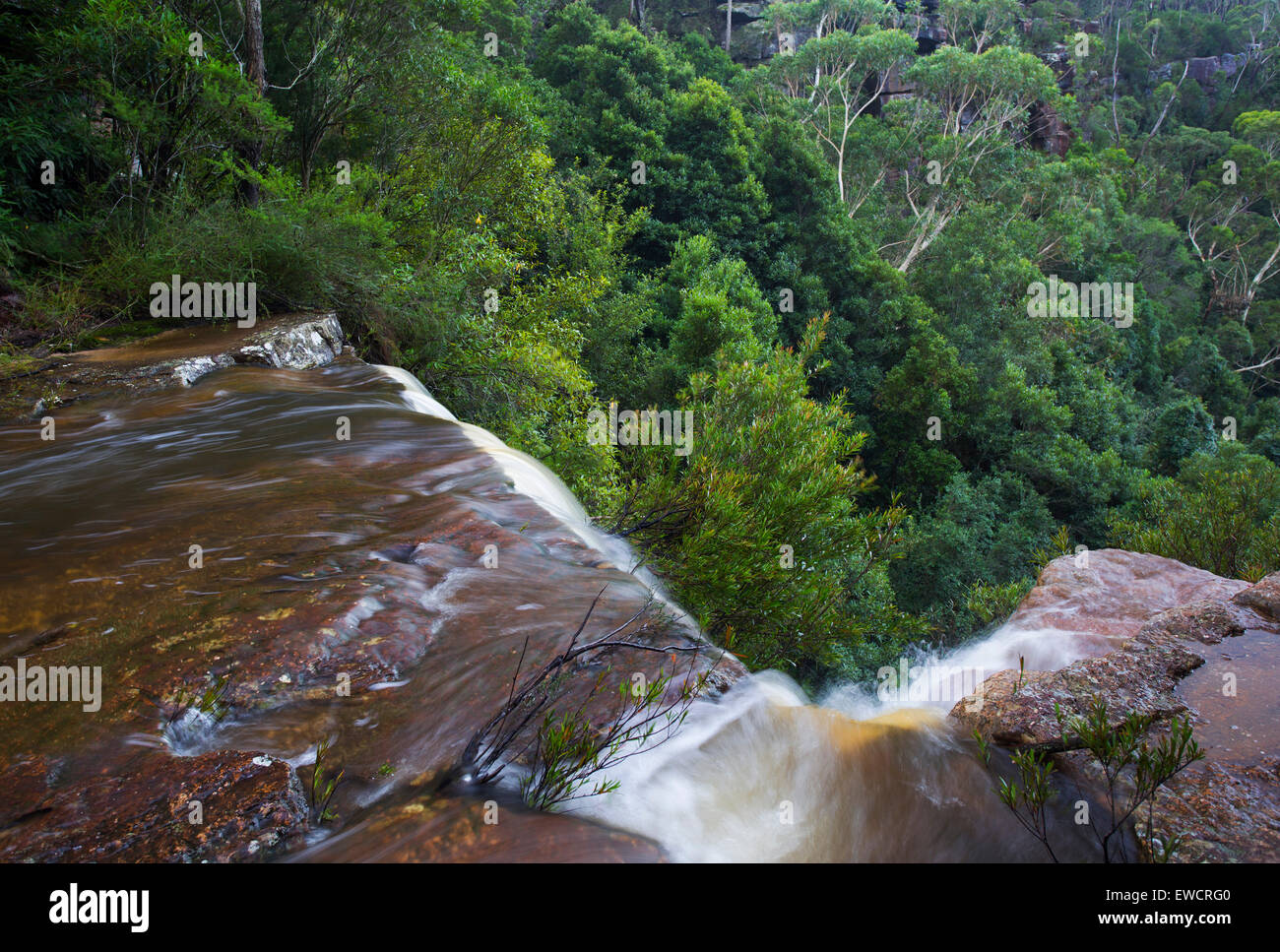 Au cours de l'eau haut de Kelly's Falls, une cascade dans la zone de conservation de l'État Garawarra, NSW, Australie Banque D'Images