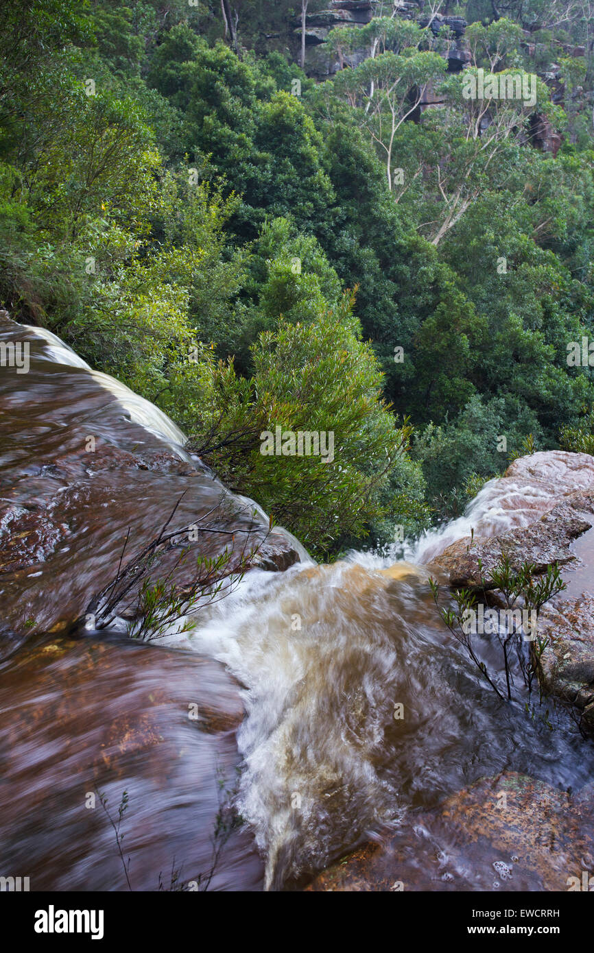 Au cours de l'eau haut de Kelly's Falls, une cascade dans la zone de conservation de l'État Garawarra, NSW, Australie Banque D'Images