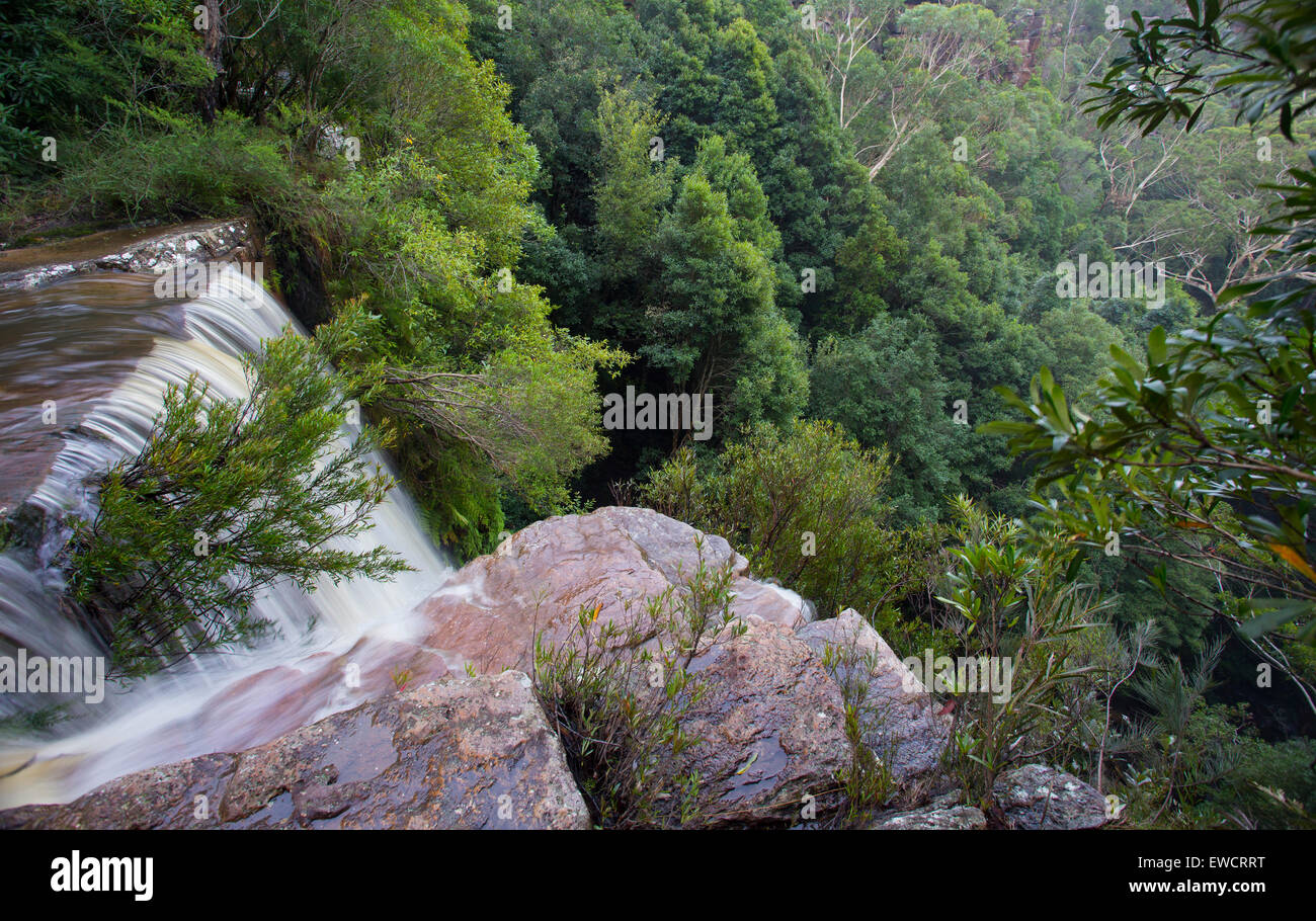 Kelly's Falls Cascade, Garawarra State Conservation Area, près de Stanwell Tops, NSW, Australie Banque D'Images