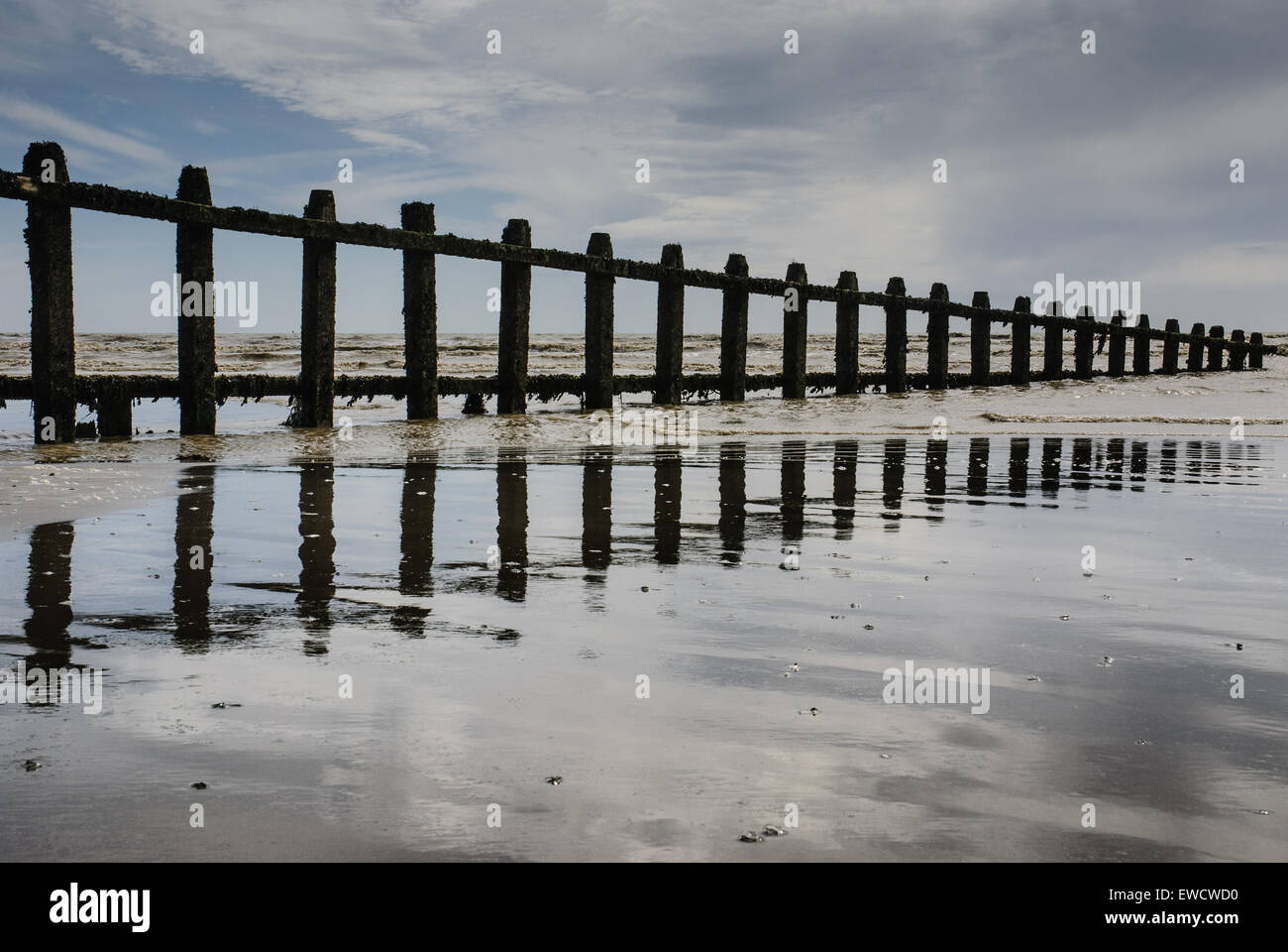 Épis de la plage. Banque D'Images
