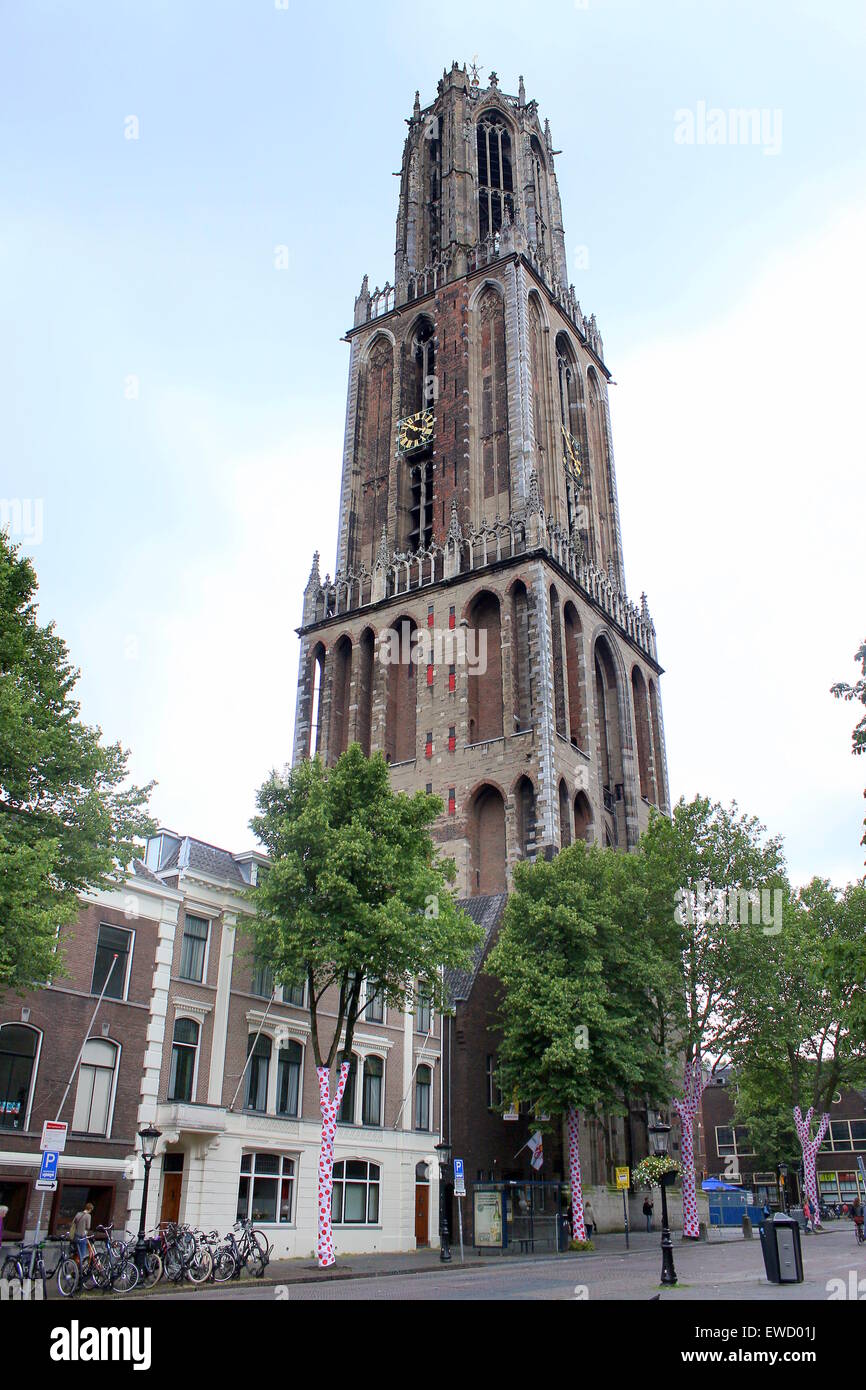 La tour du Dom à Domplein, Utrecht, Pays-Bas. Maillot à pois décore les arbres, Tour de France début juillet 2015 Banque D'Images