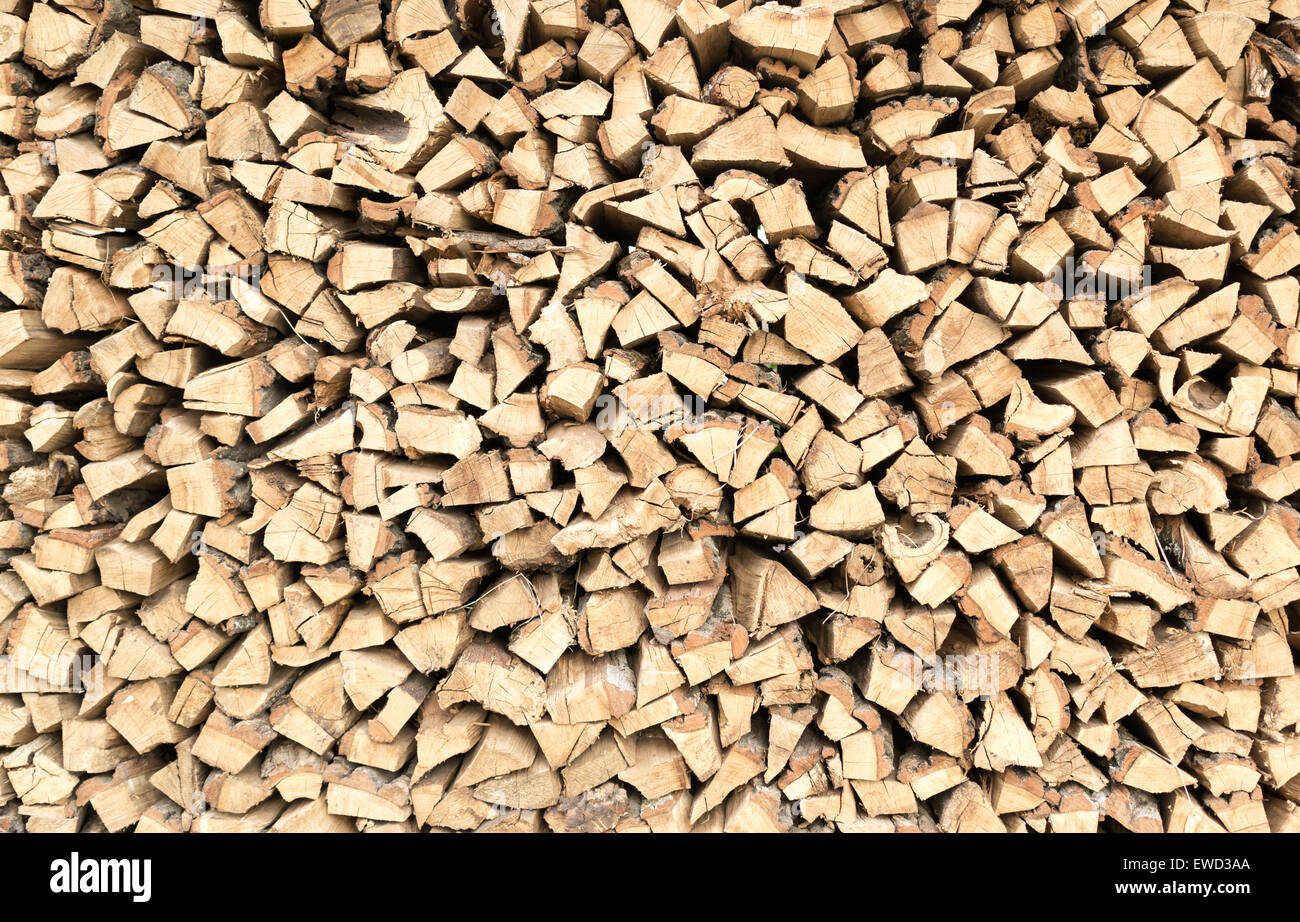 Résumé fond closeup détail Énergie Environnement Foresterie forêt bois de feu groupe de carburant de l'industrie de croissance de journalisation log lumbe Banque D'Images