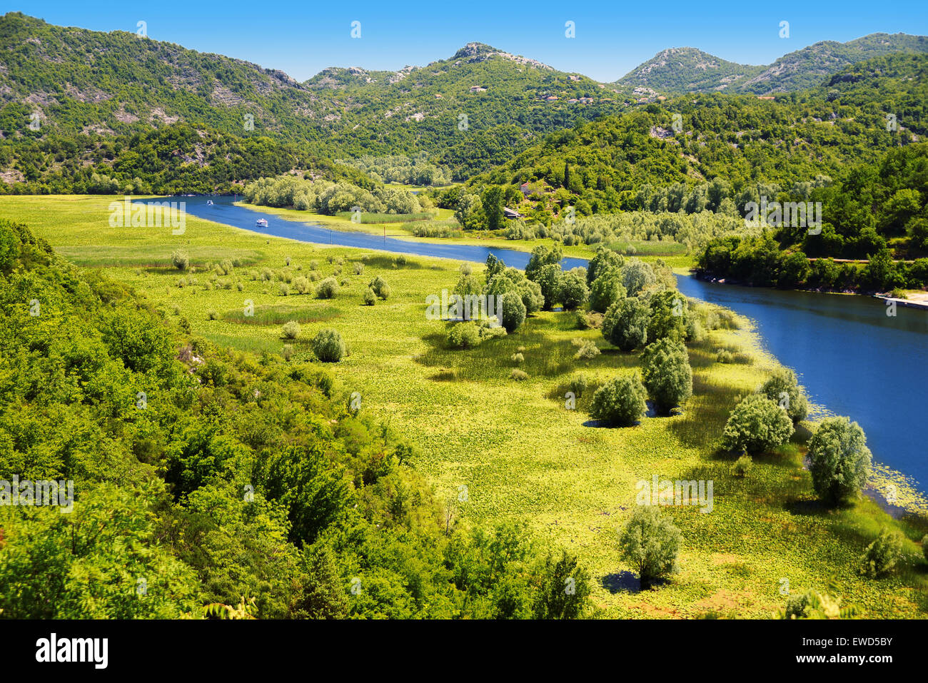 Le Monténégro, Skadarsko jezero, le plus grand lac de la péninsule des Balkans. Banque D'Images