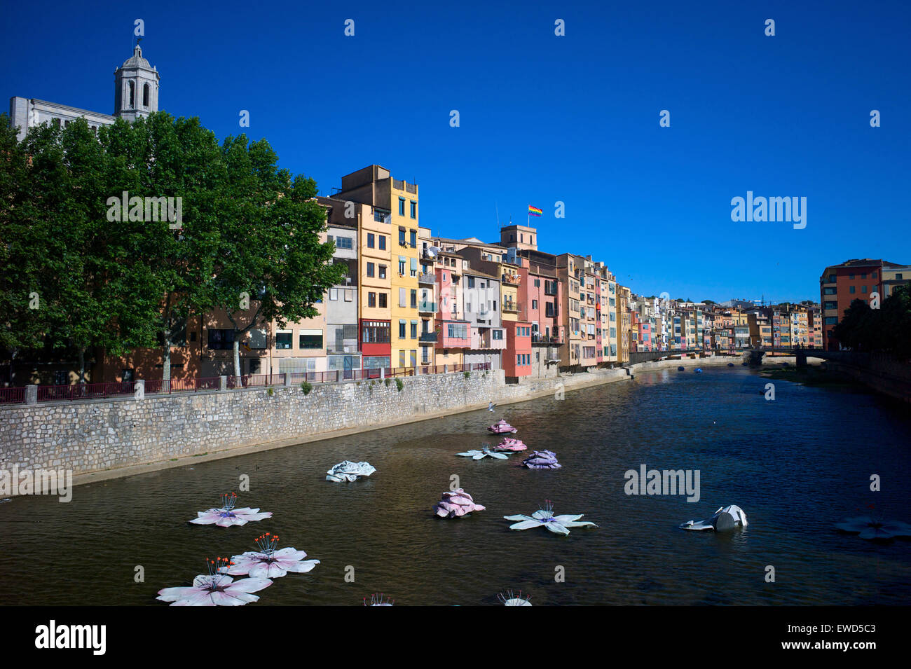 Rivière Onyar durant la fête des fleurs, Gérone, Catalogne, Espagne Banque D'Images