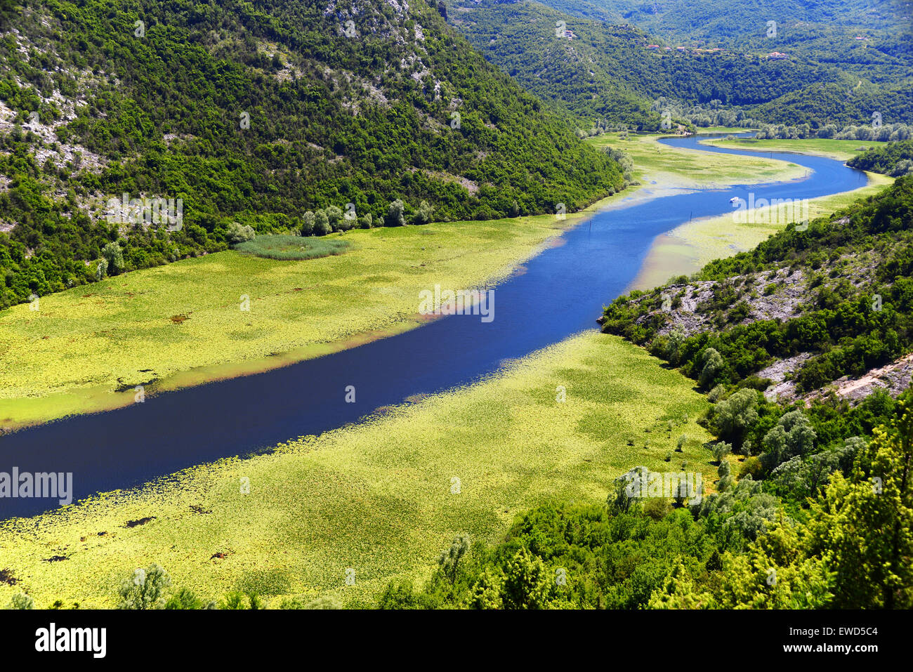 Le Monténégro, Skadarsko jezero, le plus grand lac de la péninsule des Balkans. Banque D'Images