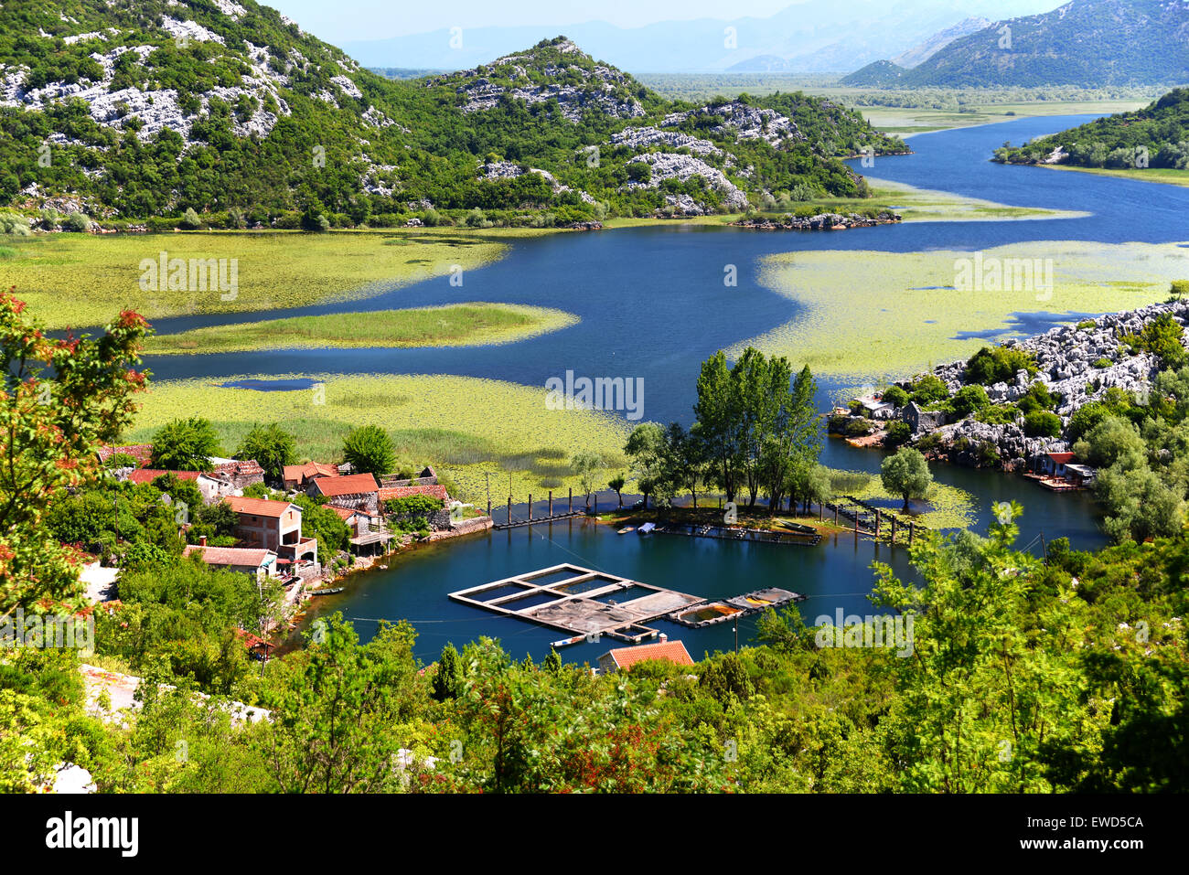 Karuc village sur le lac de Skadar, le Monténégro, le plus grand lac de la péninsule des Balkans. Parc national. Banque D'Images