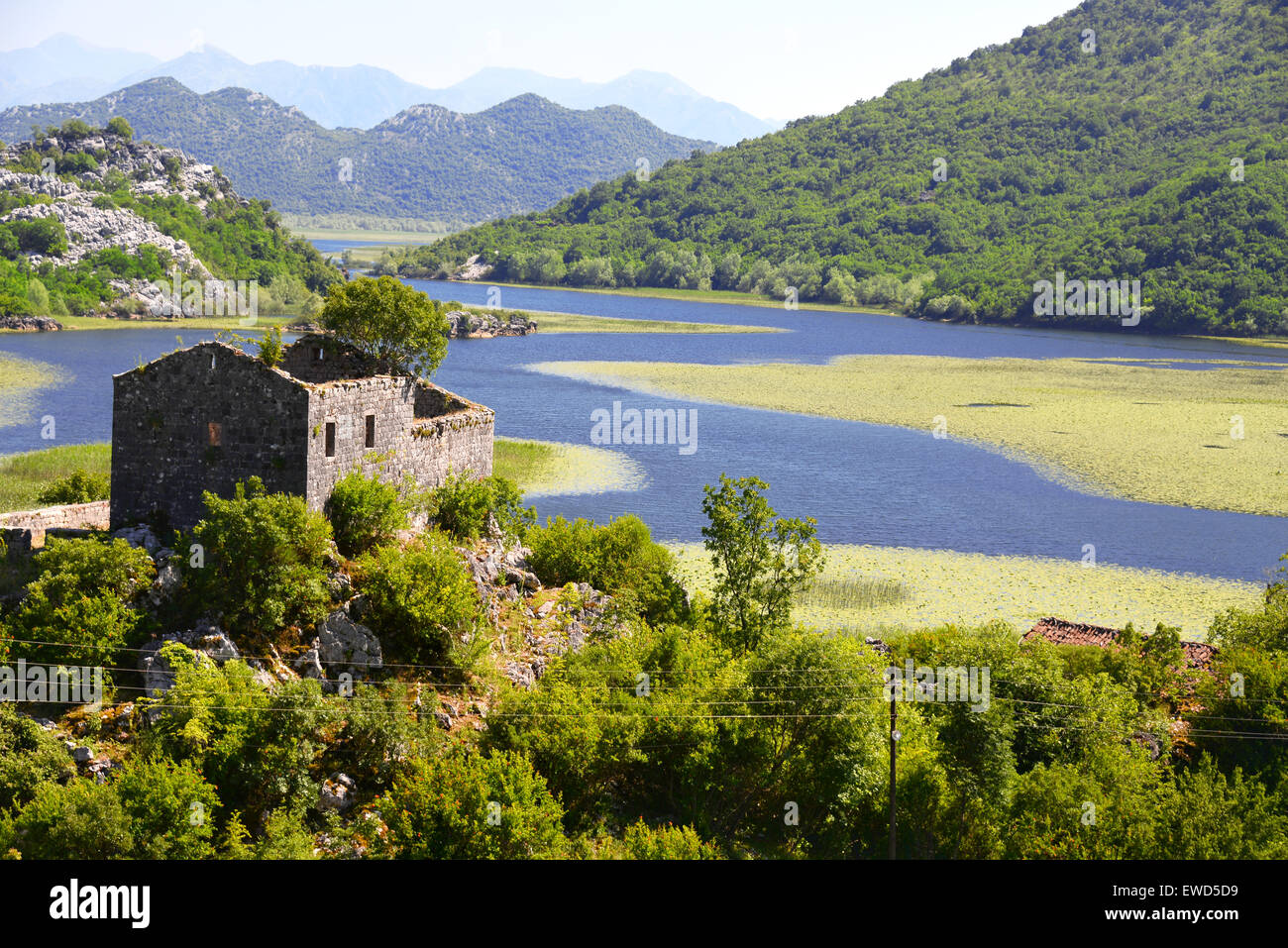 Karuc village sur le lac de Skadar, le Monténégro, le plus grand lac de la péninsule des Balkans. Parc national. Banque D'Images
