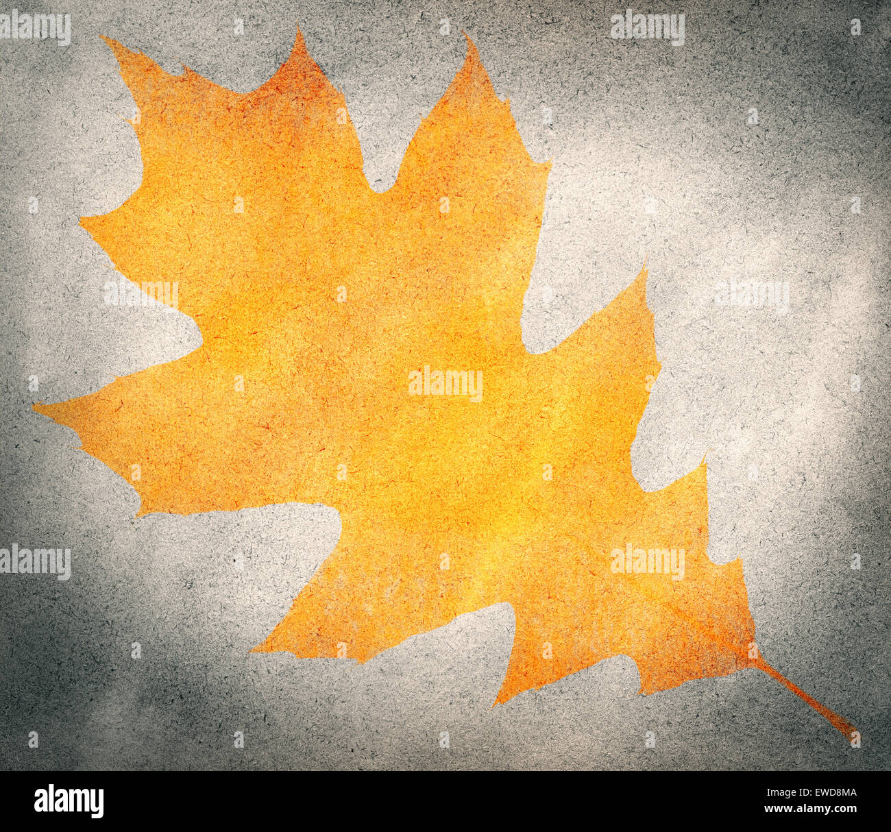 Abstract orange feuille d'érable sur fond aquarelle gris Banque D'Images