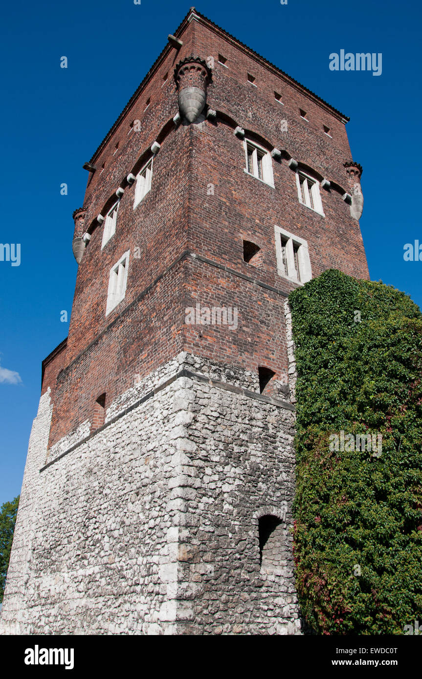 Le château de Wawel. Banque D'Images