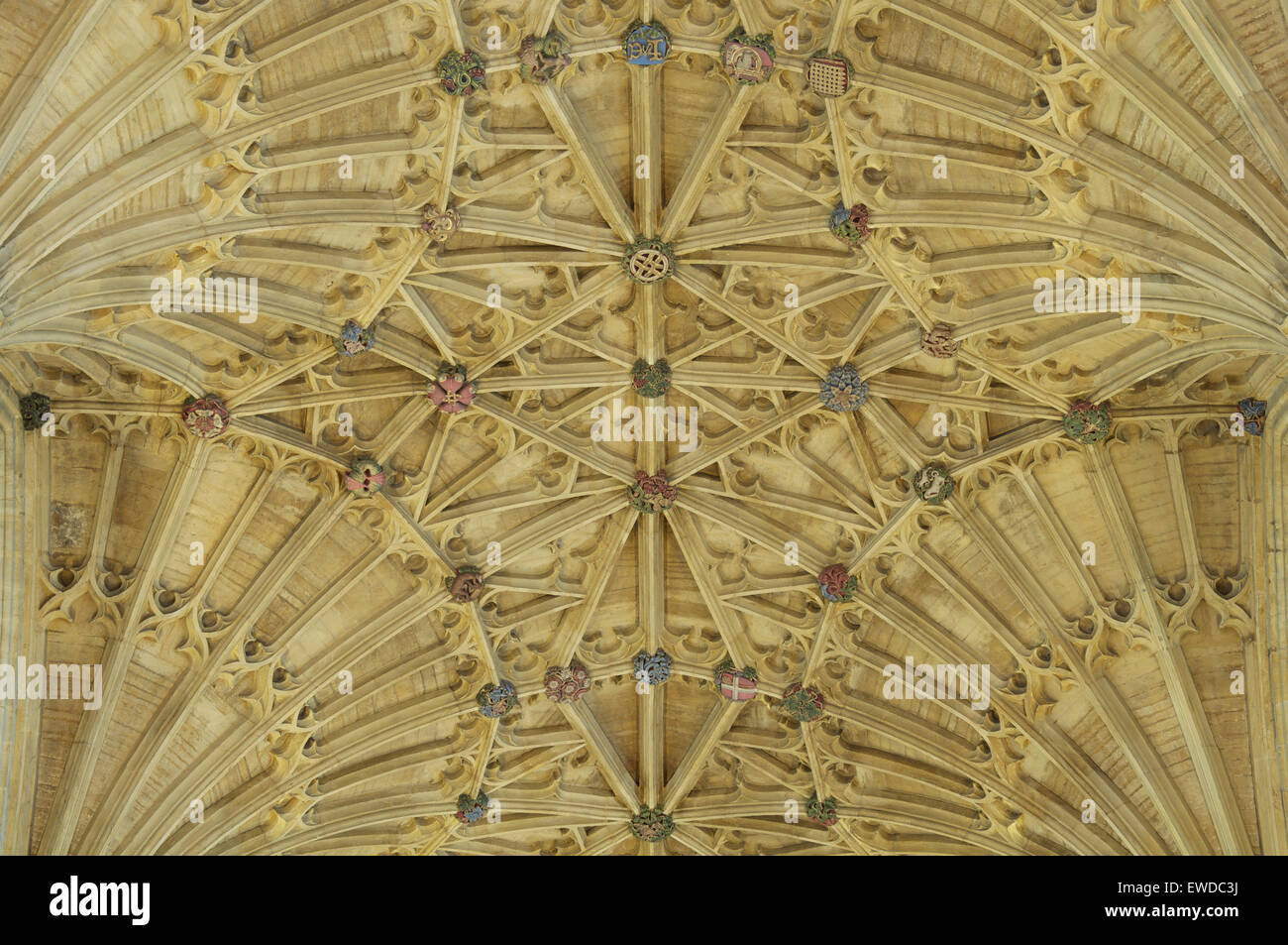 La magnifique cité médiévale de ventilateur de plafond voûté gothique Abbaye de Sherborne avec ses patrons d'ornement coloré. Dorset, Angleterre, Royaume-Uni. Banque D'Images