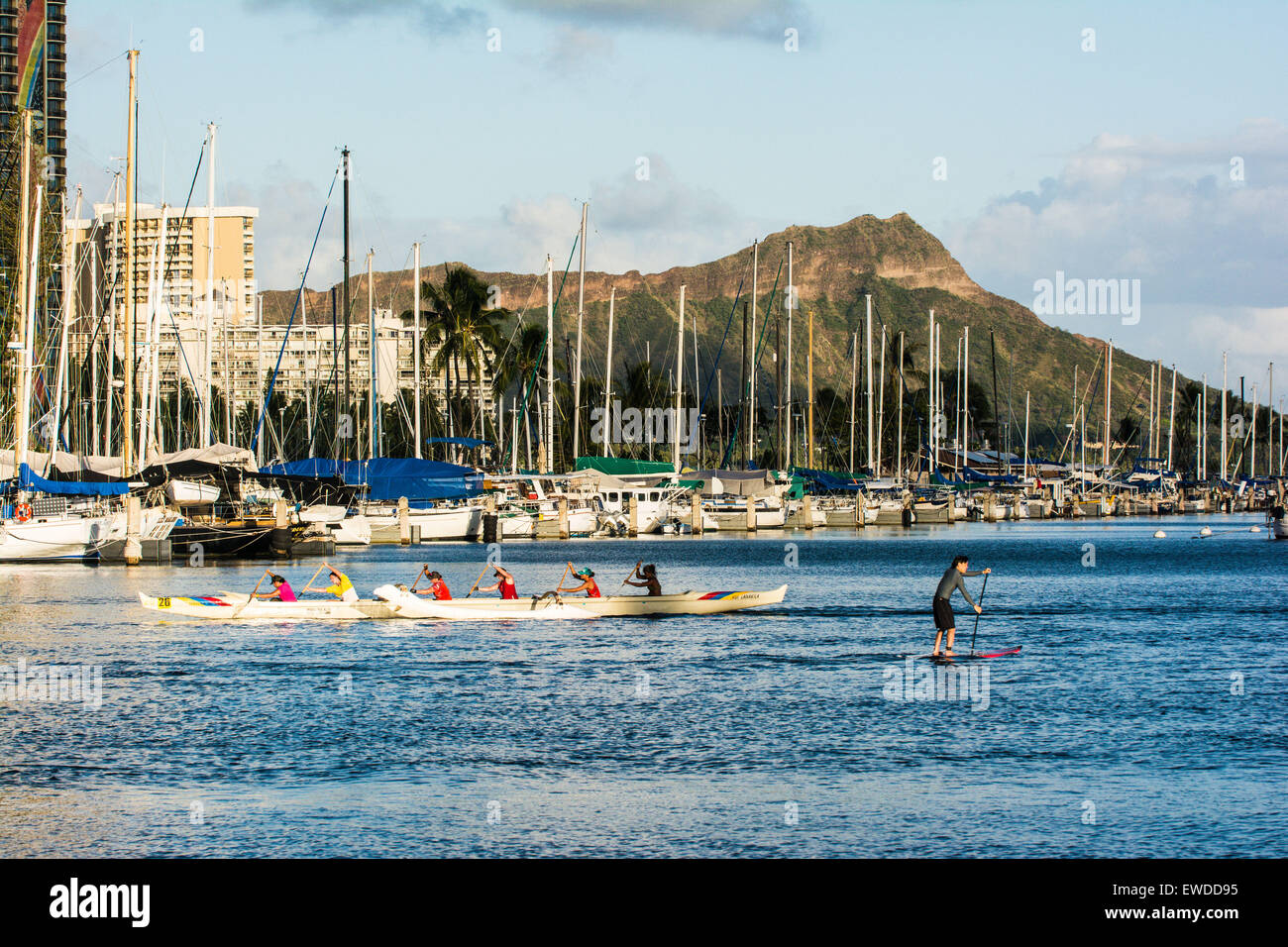 L'équipe de pirogues & Stand-Up Paddle Boarder en Ala Wai Boat Harbour, Diamond Head à l'arrière-plan, Waikiki, Honolulu, Oahu, Banque D'Images