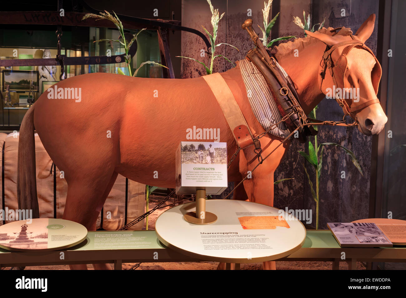 Archives de l'État & History Museum, Montgomery, Alabama, États-Unis Banque D'Images