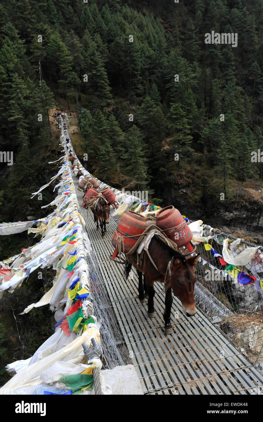 L'Âne charge sur le pont Larja Namche Bazar, pass, camp de base de l'Everest trek, UNESCO World Heritage Site, Sagarmatha Na Banque D'Images