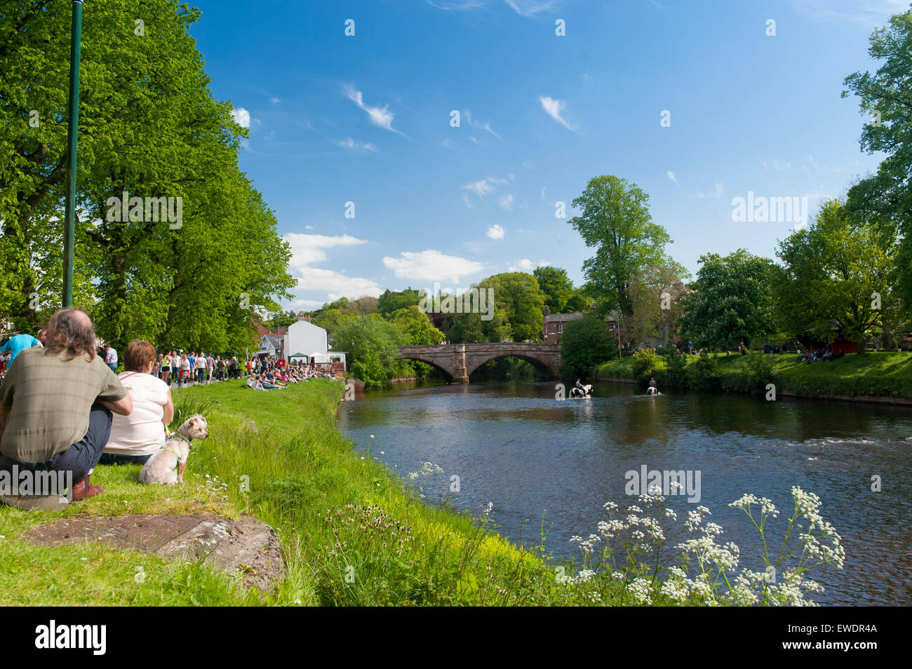 Regarder les gens les chevaux d'être lavé dans la rivière Eden à l'Appleby Horse Fair 2015, Cumbria, Royaume-Uni. Banque D'Images