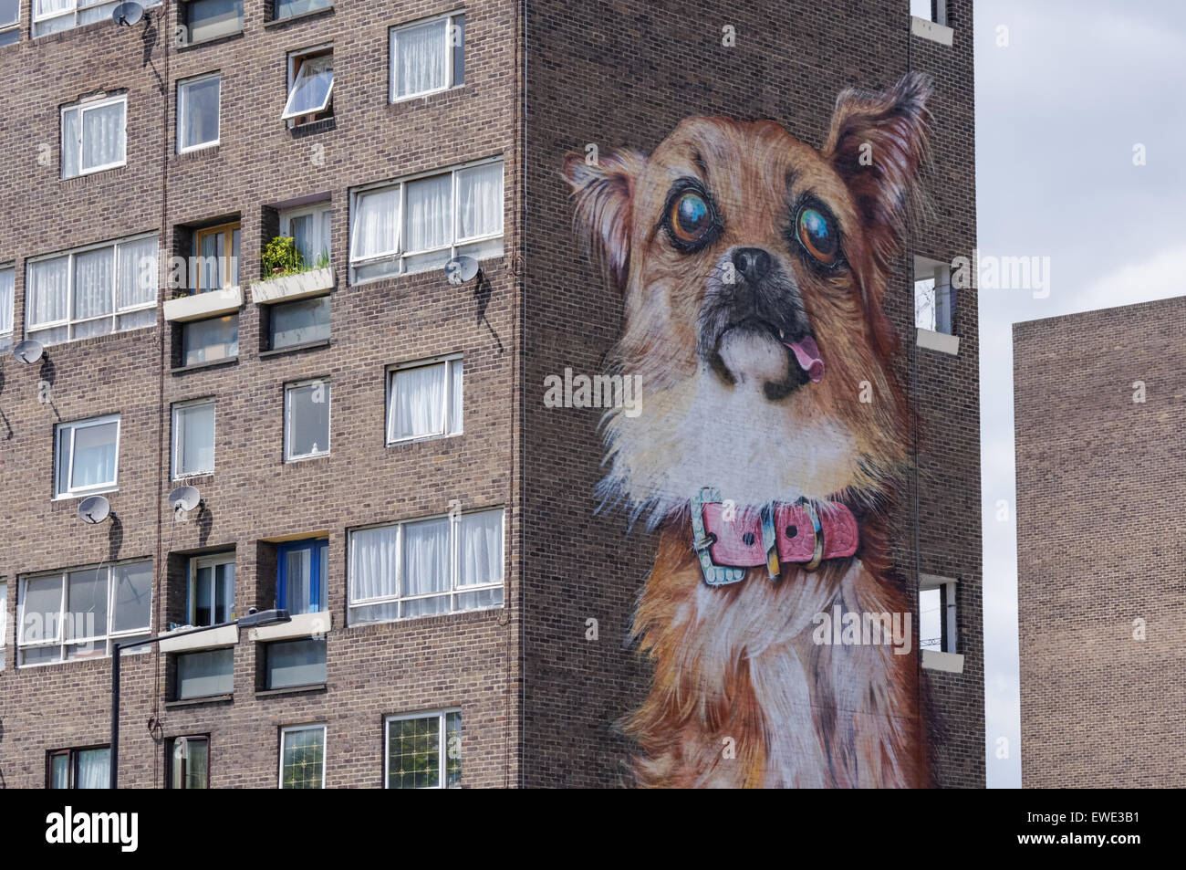 Grand chien chihuahua sur graffiti bâtiment résidentiel à Chrisp Street, London England Royaume-Uni UK Banque D'Images