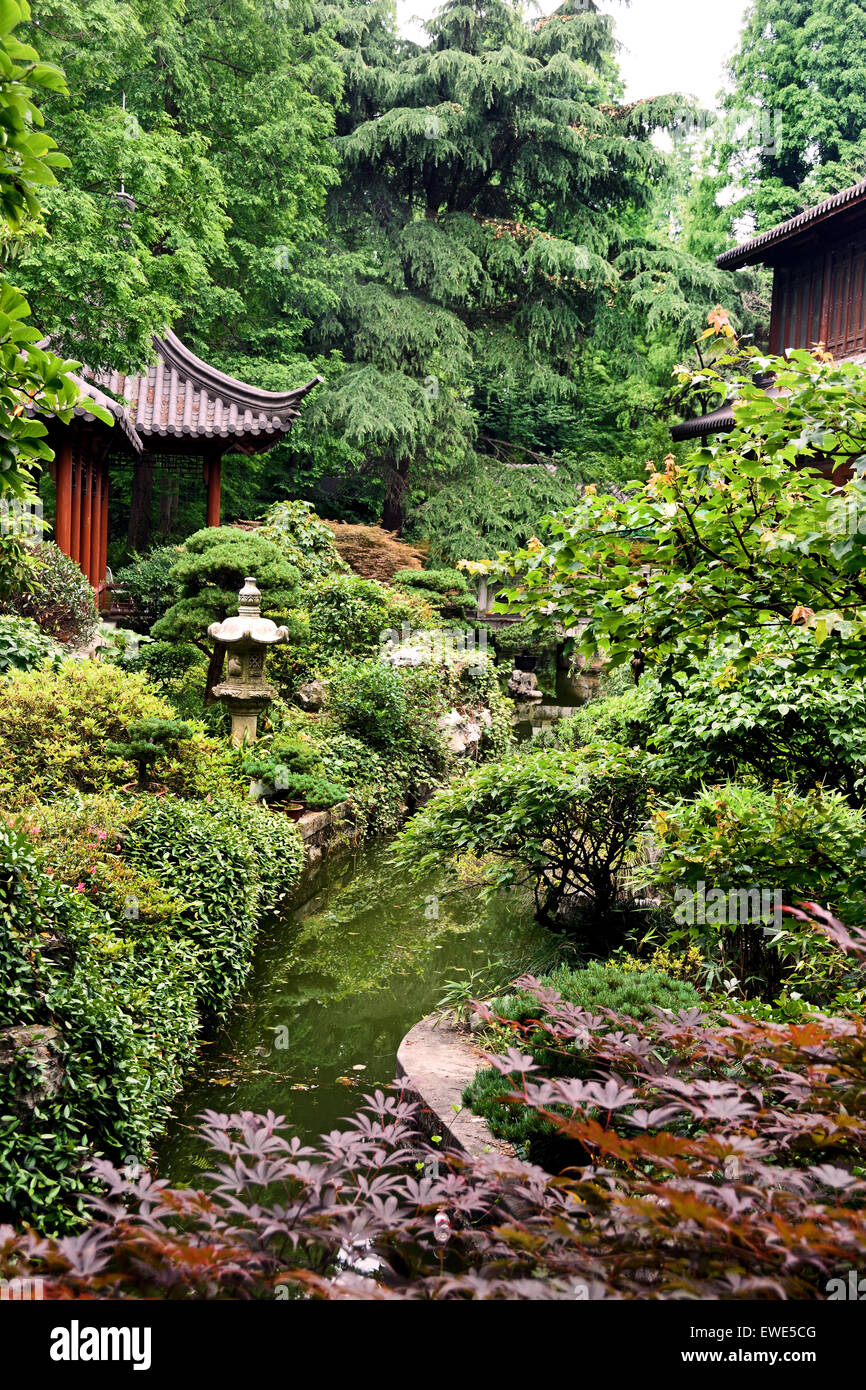 Le Jardin botanique de Shanghai Shanghai Chine Chinese Banque D'Images