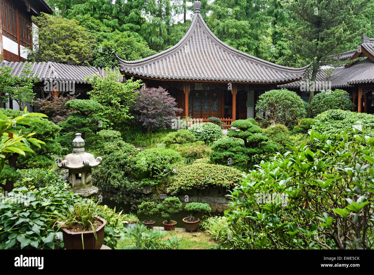Le Jardin botanique de Shanghai Shanghai Chine Chinese Banque D'Images
