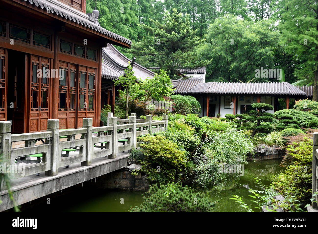 Le Jardin botanique de Shanghai Shanghai Chine Chinese Banque D'Images