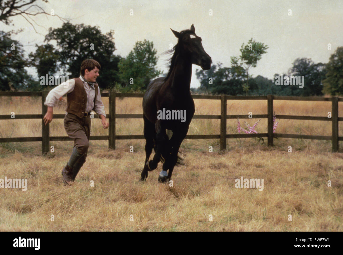 La beauté noire Banque D'Images