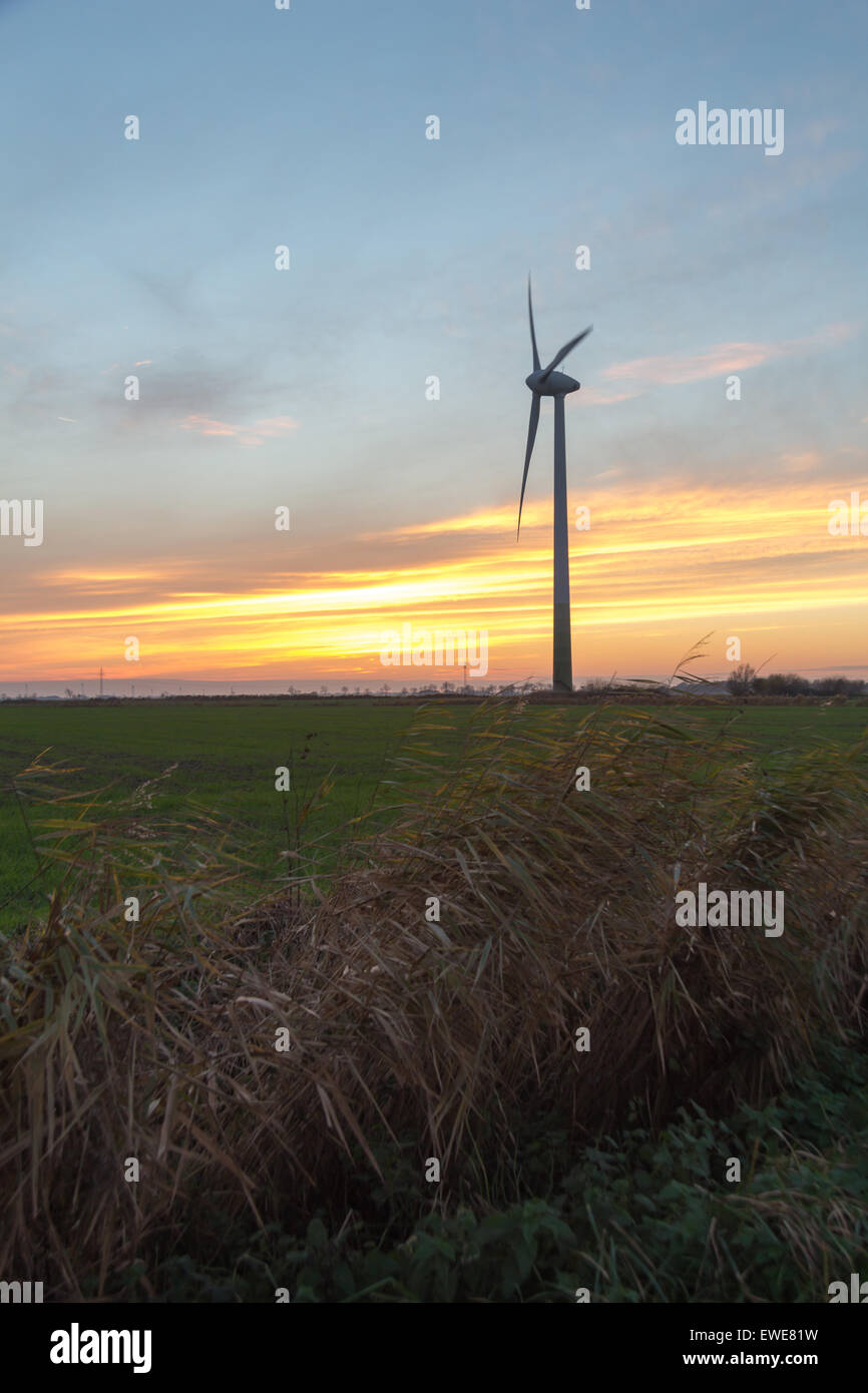 Hinte, Allemagne, une éolienne dans le coucher du soleil Banque D'Images