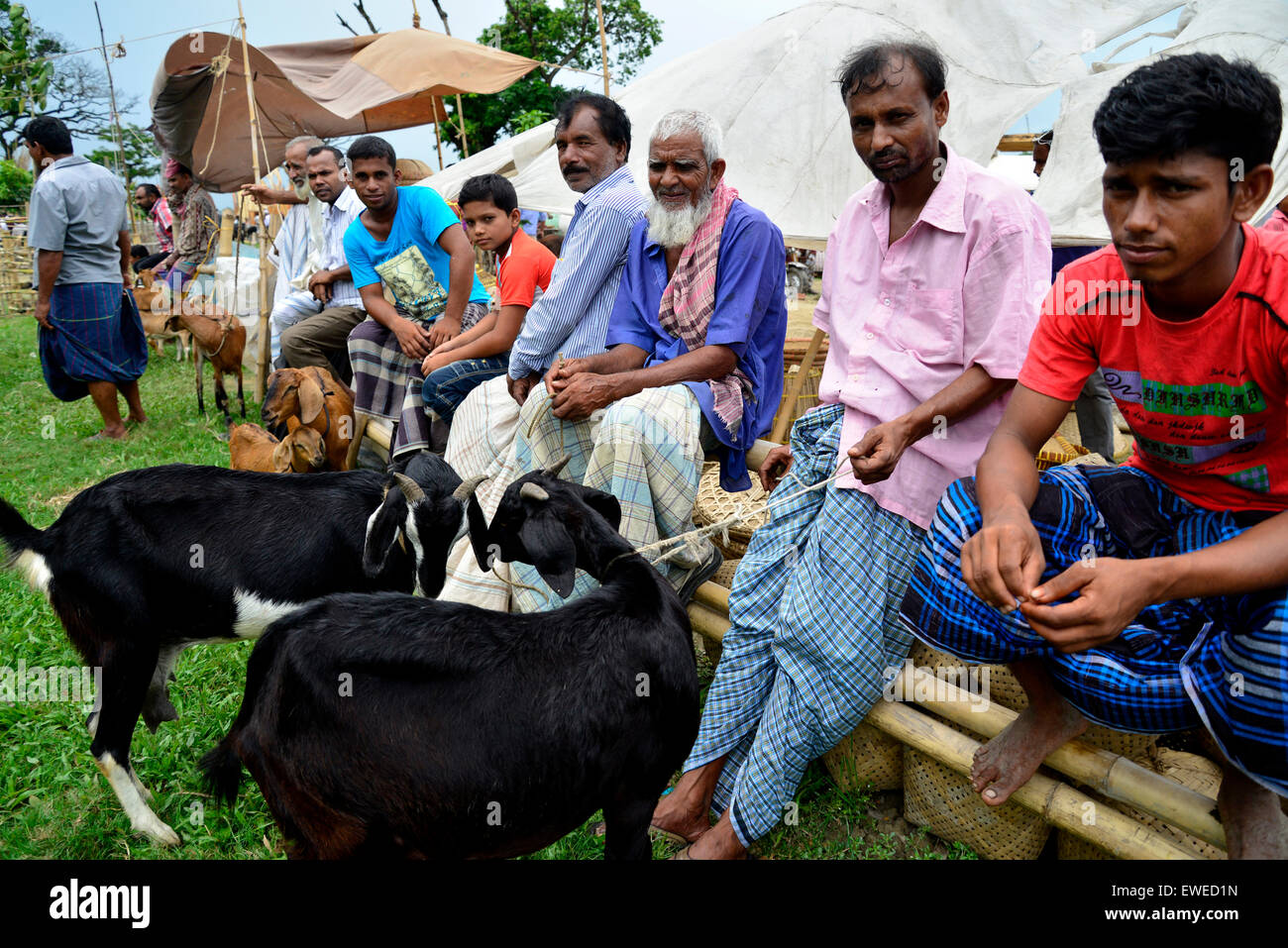 Certains villageois avec chèvre domestique pour les ventes à l'Kaikcarateke marché hebdomadaire, district de Narayanganj au Bangladesh, le 21 juin 2015. Banque D'Images