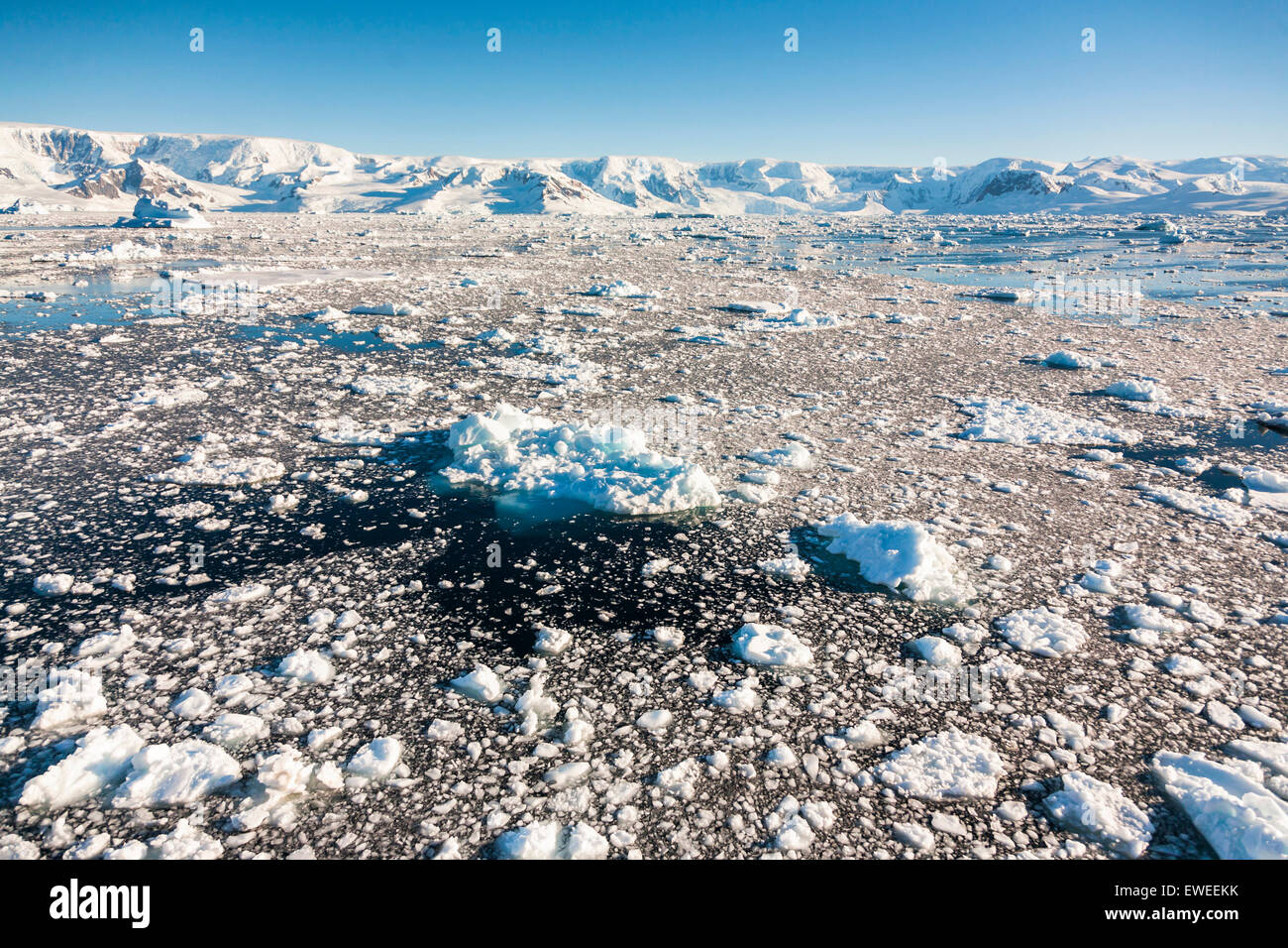 Dans le détroit de Gerlache Brash, Péninsule Antarctique, l'Antarctique. Banque D'Images