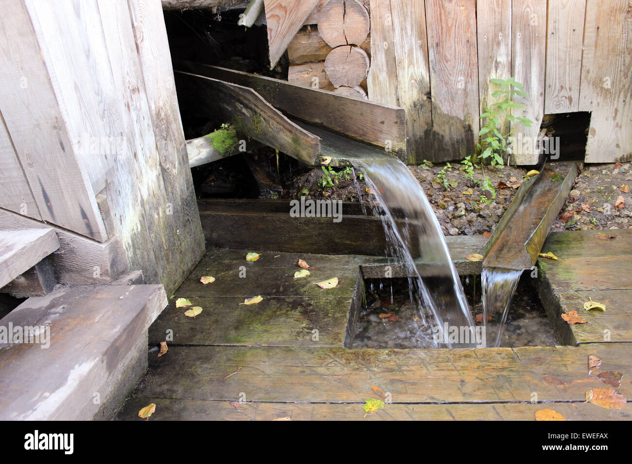 Printemps avec de l'eau potable propre, adaptée à recueillir l'eau d'une auge en bois. Banque D'Images