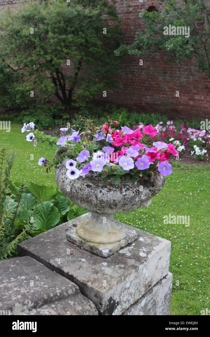 Le semoir de beaux jardins beaucoup de couleur Banque D'Images