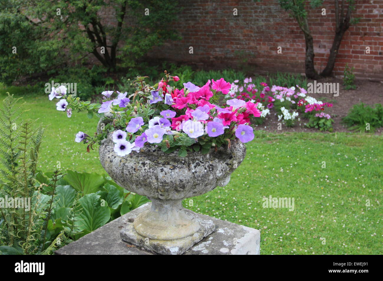 Le semoir de beaux jardins beaucoup de couleur Banque D'Images