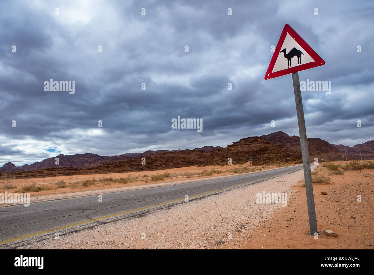 Route de campagne dans le désert avec Camel Crossing Sign Banque D'Images