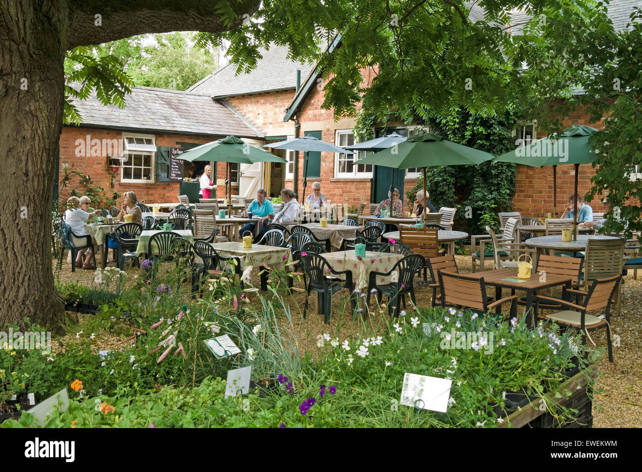 Café en plein air, Coton Manor Gardens, Coton, Northamptonshire, England, UK. Banque D'Images