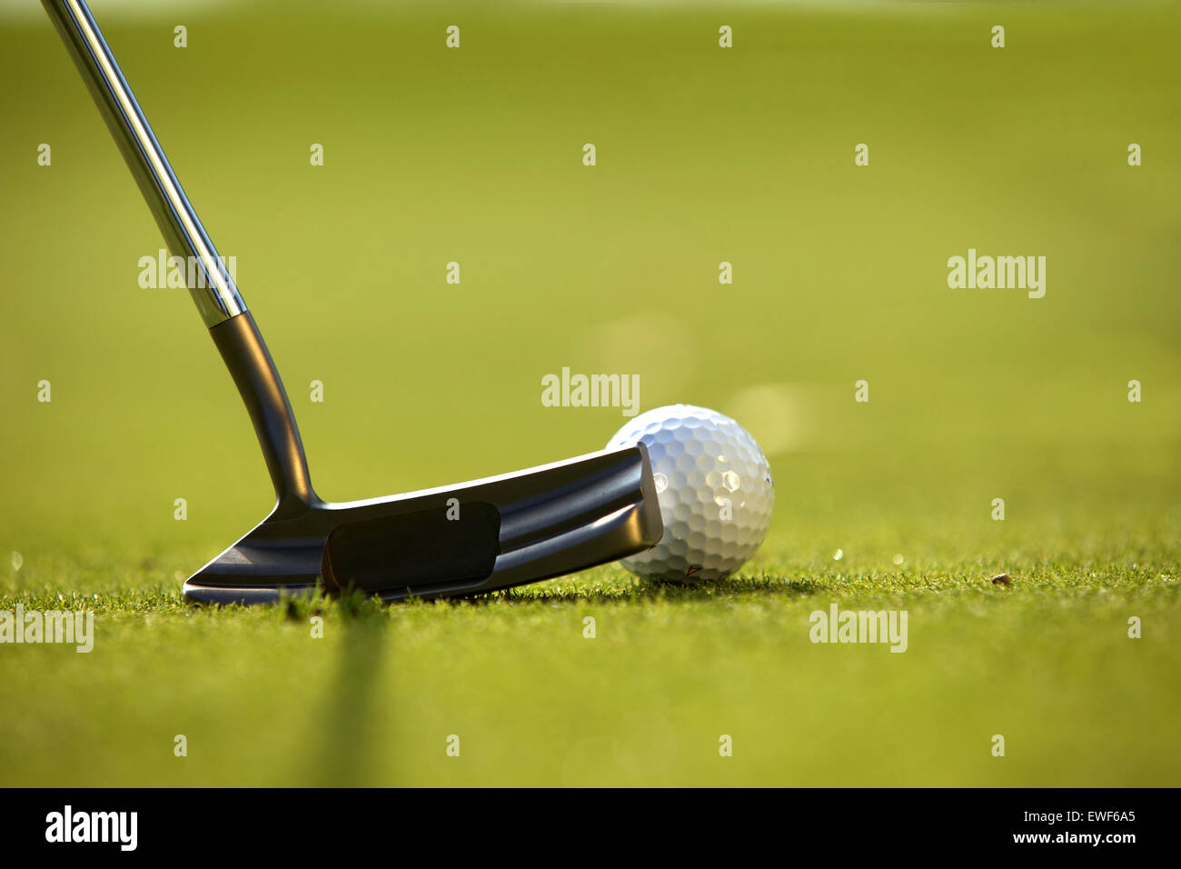 Un club de golf sur un parcours de golf Banque D'Images
