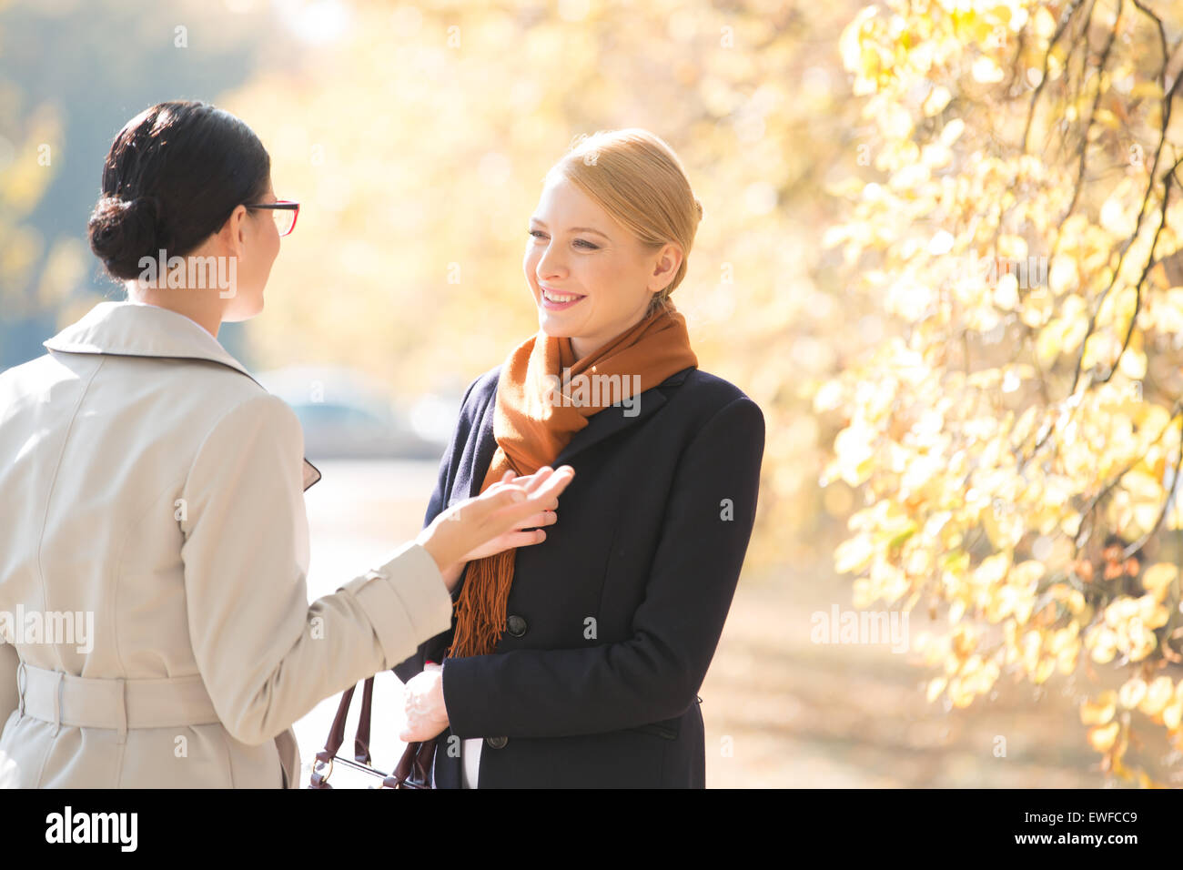 Happy businesswoman conversing with colleague at park sur sunny day Banque D'Images