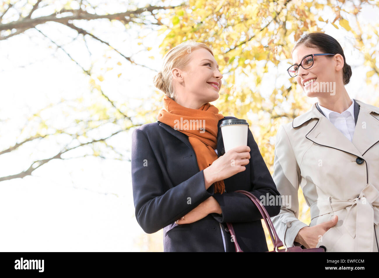 Low angle view of smiling businesswomen conversing at park Banque D'Images