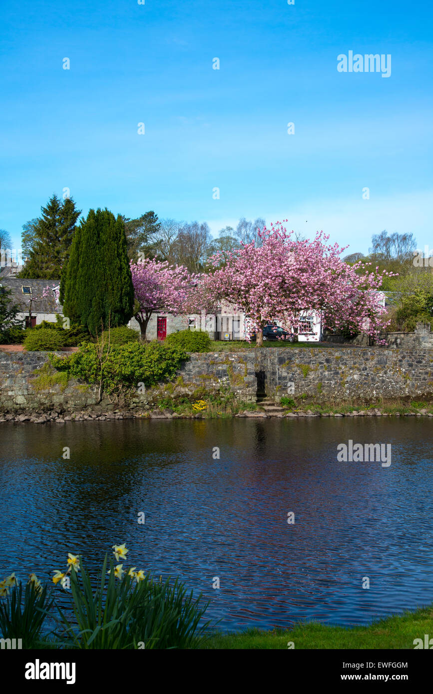 Chalets sur les rives de la rivière Cree, Newton Stewart, Wigtownshire, en Écosse. Banque D'Images