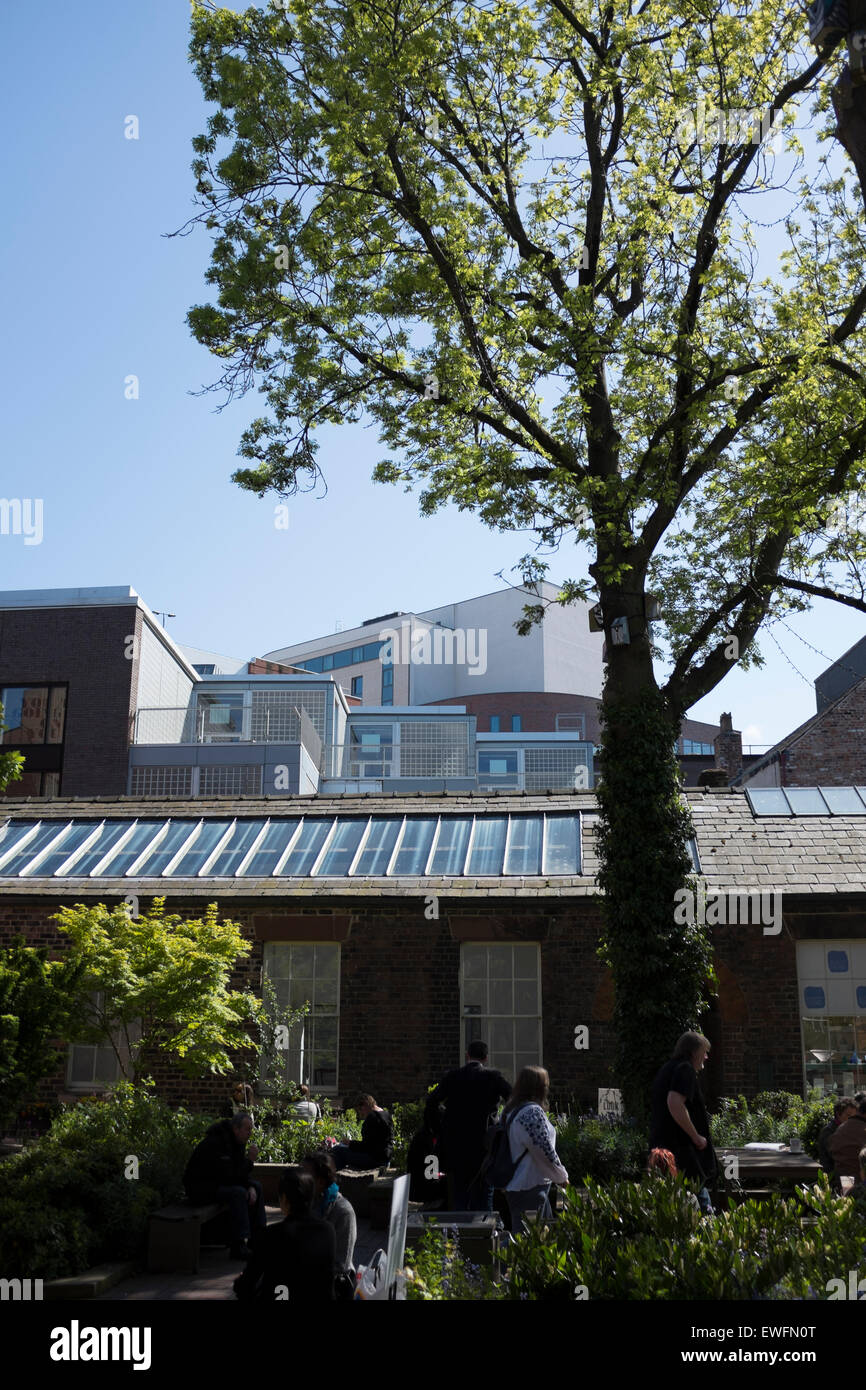 Les arbres de la ville intérieure des bâtiments contre l'étalement urbain Clash Banque D'Images